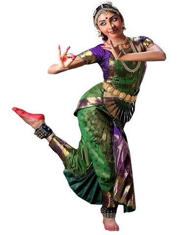 Mehandi And Purple Dress Andhra Natyam Dance Dress