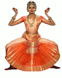 Skin & Golden Bhatatnatyam Dance Dress