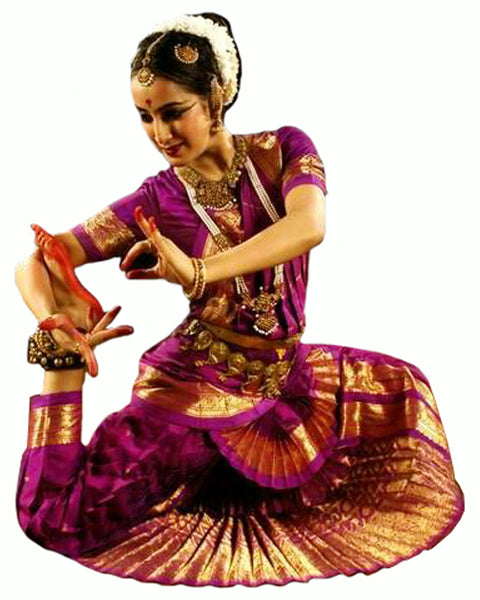 Purple Indian Classical Dance Bharatanatyam Dress