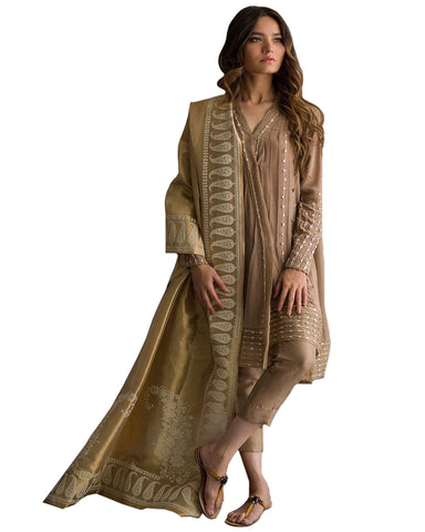 Designer Stone Color Pakistani Suit
