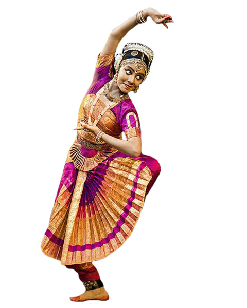 Purple And Gold Color Bhatatnatyam Dance Dress