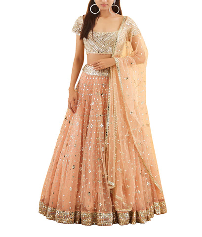 Pastel Peach Raw Silk Mirror Embroidered Lehenga Choli