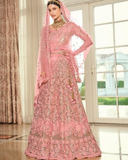 Gorgeous Pink Color Net Lehenga, Dupatta with Net Embroidered Blouse and Belt for Special Occasion