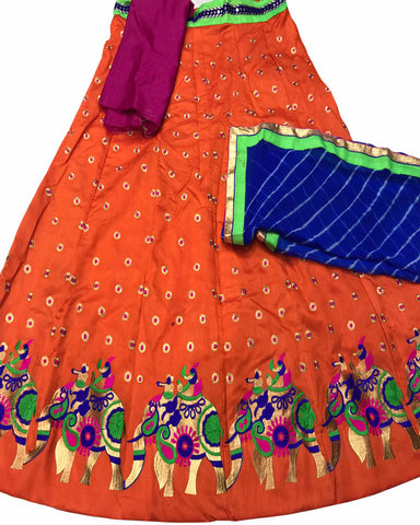 Orange Color Elephant Border Banglori Silk Lehenga
