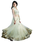 Beautiful Flared Cream With Embroidered Blouse
