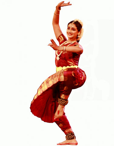 Bharatnatyam Brown Color Dance Costume