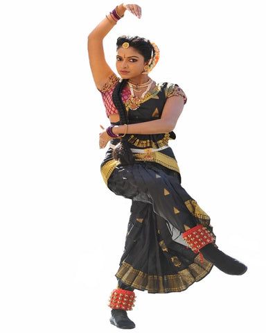 Bharatnatyam Dance Costume