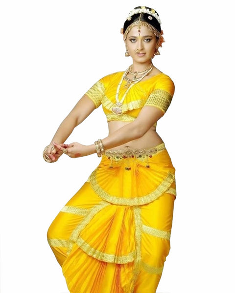 Bharatnatyam Black Orange Dance Costume