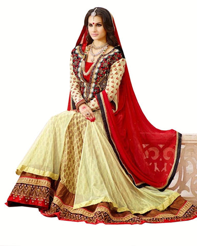 Designer Pakistani Suit