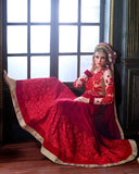 Designer Red Long Dress