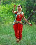 Gorgeous Red and Light Blue Color Art Silk Bharatnatyam Costume